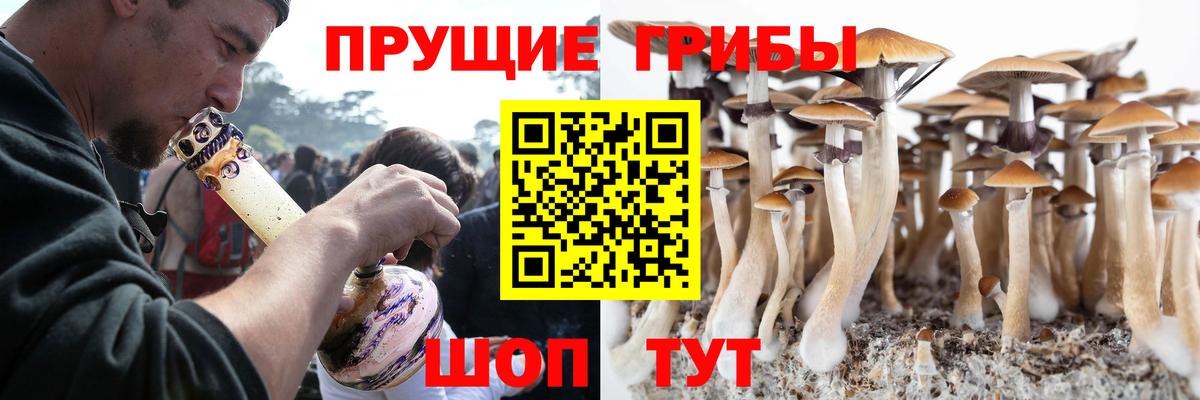 наркотики  Вход с VPN  Александров  Галлюциногенные грибы мухоморы 